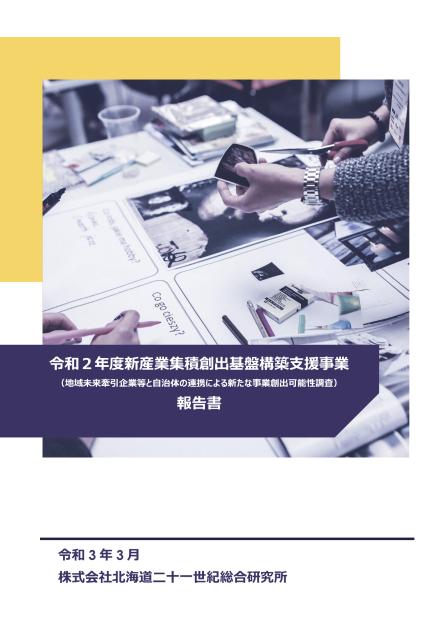 株式会社北海道二十一世紀総合研究所のサムネイル