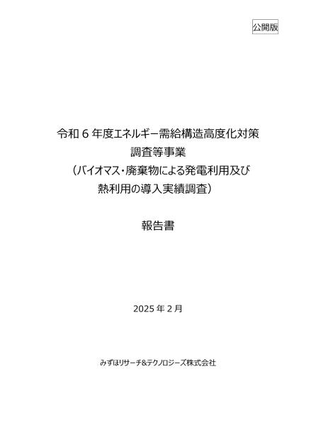 エネルギー需給構造のサムネイル